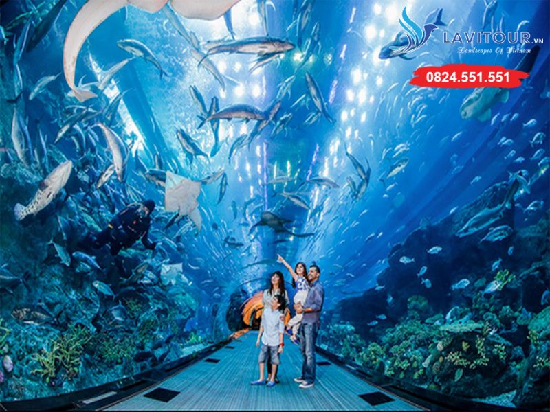 Tour Singapore - Sentosa - Sea Aquarium 3n2đ 13