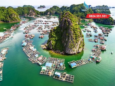 Tour Sài Gòn - Vịnh Hạ Long - Đảo Cát Bà 3n2đ 2