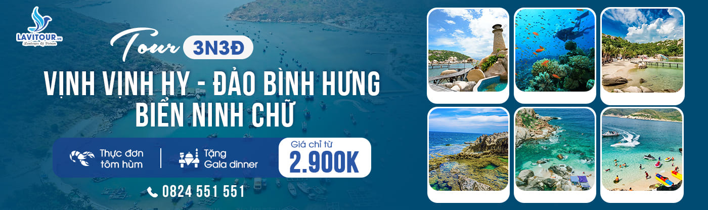 tour đảo bình hưng