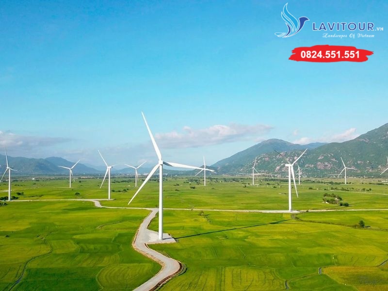 Tour Du Lịch Ninh Chữ – Vĩnh Hy – Bình Hưng 3N3Đ Từ Sài Gòn 13 Cánh đồng điện gió Đầm Nại