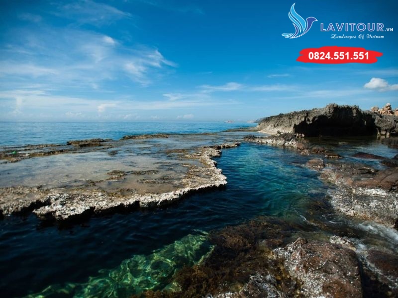 Tour Du Lịch Ninh Chữ – Vĩnh Hy – Bình Hưng 3N3Đ Từ Sài Gòn 9 Hang Rái