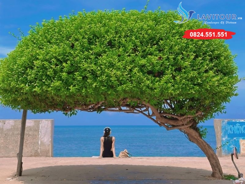 PHÚ QUÝ - THIÊN ĐƯỜNG BIỂN NẮNG 3N3Đ - TÀU CAO TỐC 12 Cây Cô Đơn