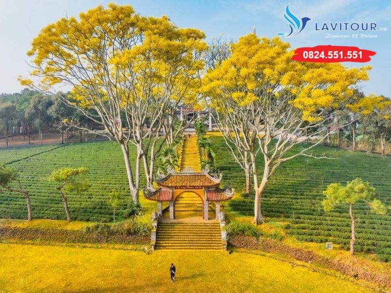 BẢO LỘC - CAO NGUYÊN DANH TRÀ - TRẢI NGHIỆM SĂN MÂY 3N2Đ 11 Tu viện Bát Nhã
